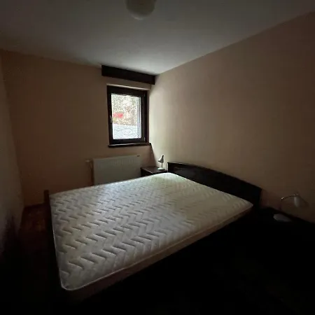 Vila Novakovic Apartment Zlatibor