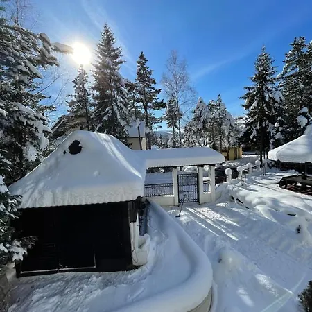 Vila Novakovic Apartment Zlatibor