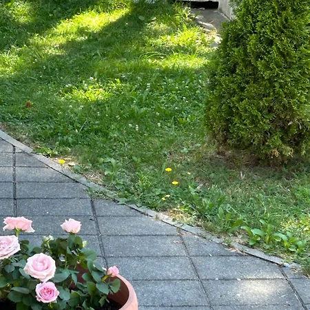 Apartment Vila Novakovic Zlatibor