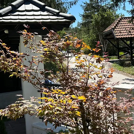 Apartment Vila Novakovic