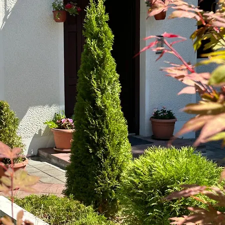 Apartment Vila Novakovic *