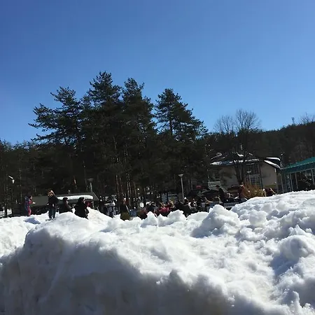 Vila Novakovic Apartment *