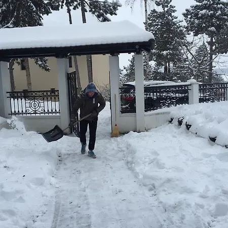 Apartment Vila Novakovic *