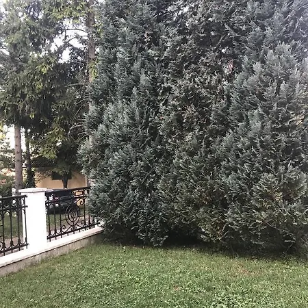 Vila Novakovic * Zlatibor