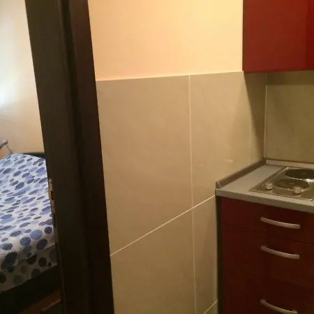 Vila Novakovic Apartment Zlatibor